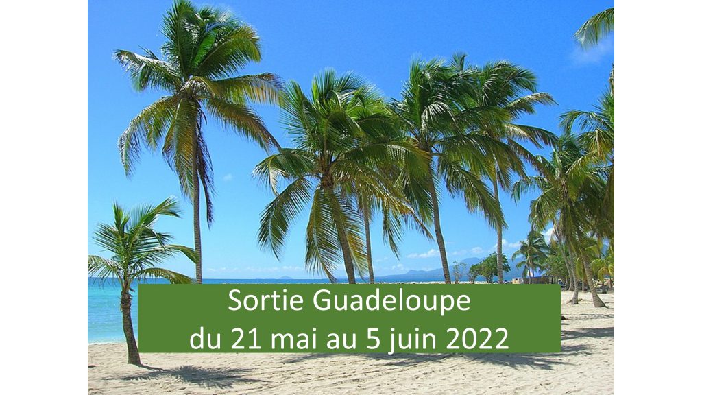 Sortie Guadeloupe - du 21 mai au 5 juin